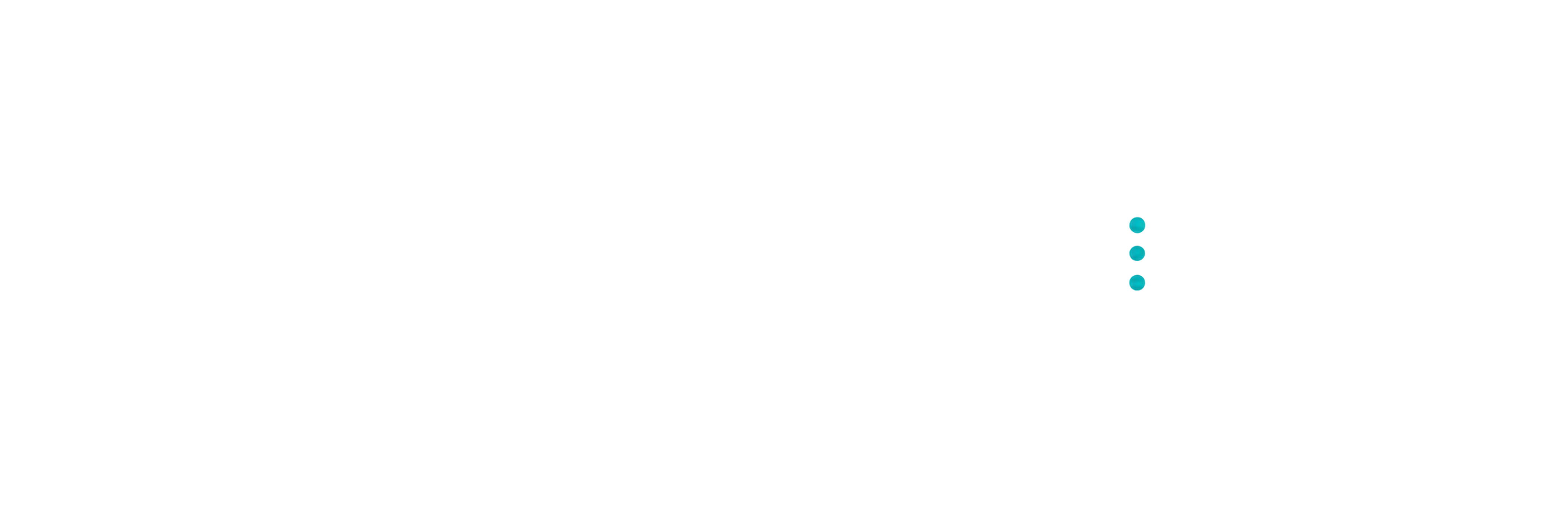 Anderson Social Impact